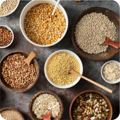 Organic Grains and Pulses